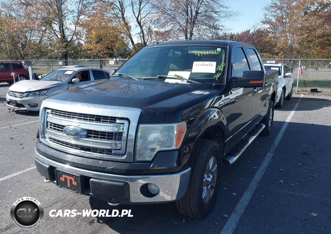 2013 Ford F-150 Xlt VIN:1FTFW1EF8DKE10244 - 2