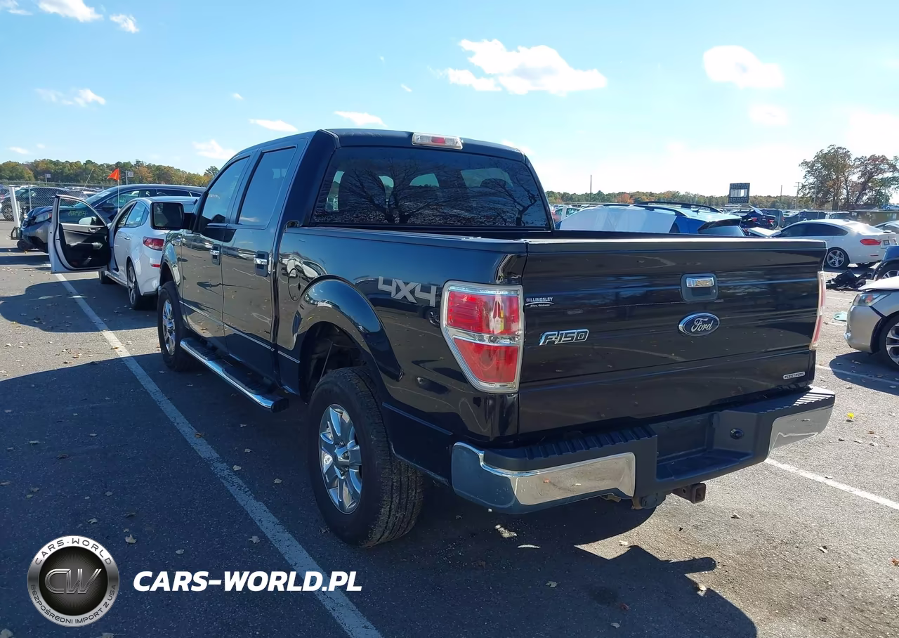 2013 Ford F-150 Xlt VIN:1FTFW1EF8DKE10244 - 3