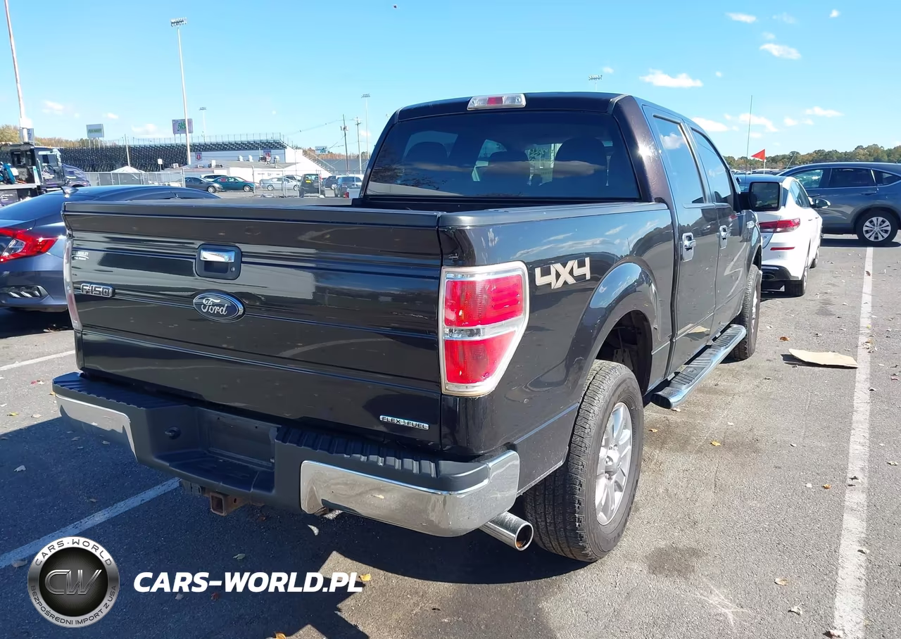2013 Ford F-150 Xlt VIN:1FTFW1EF8DKE10244 - 4