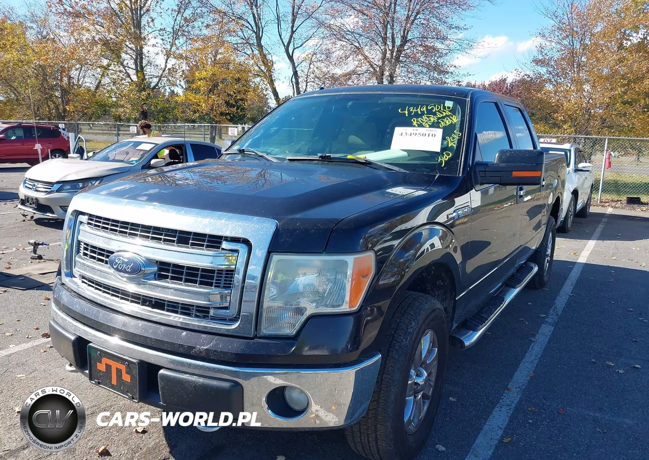 2013 Ford F-150 Xlt VIN:1FTFW1EF8DKE10244 - 6