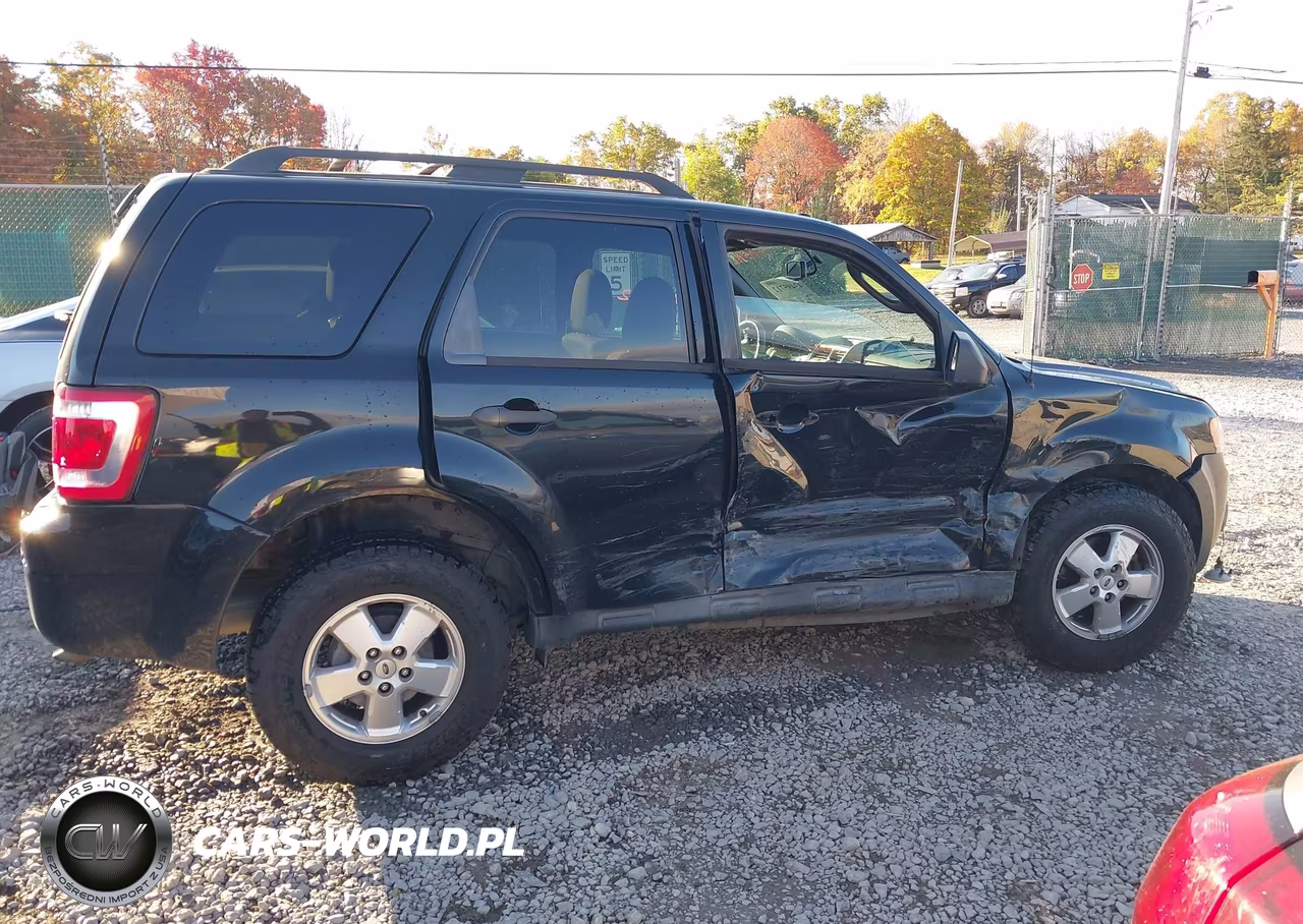 2011 Ford Escape Xlt VIN:1FMCU0DG2BKB89701 - 13