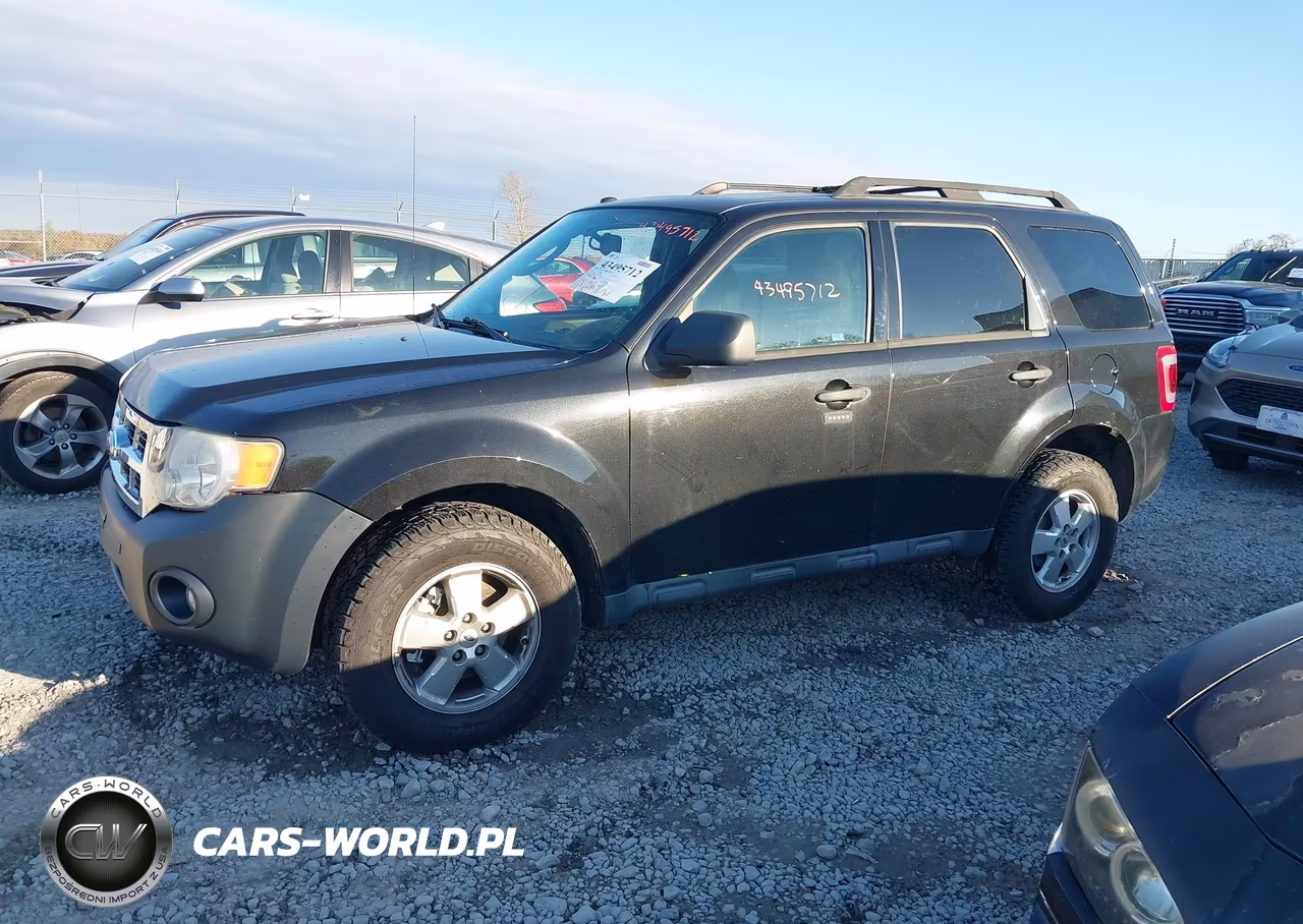 2011 Ford Escape Xlt VIN:1FMCU0DG2BKB89701 - 14