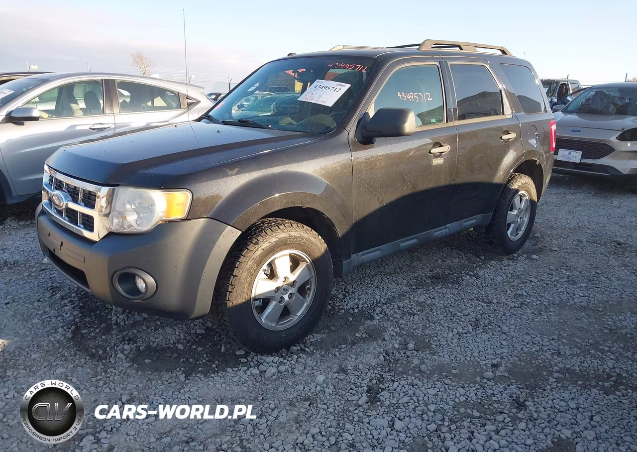 2011 Ford Escape Xlt VIN:1FMCU0DG2BKB89701 - 2