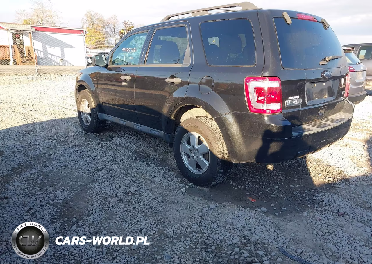2011 Ford Escape Xlt VIN:1FMCU0DG2BKB89701 - 3