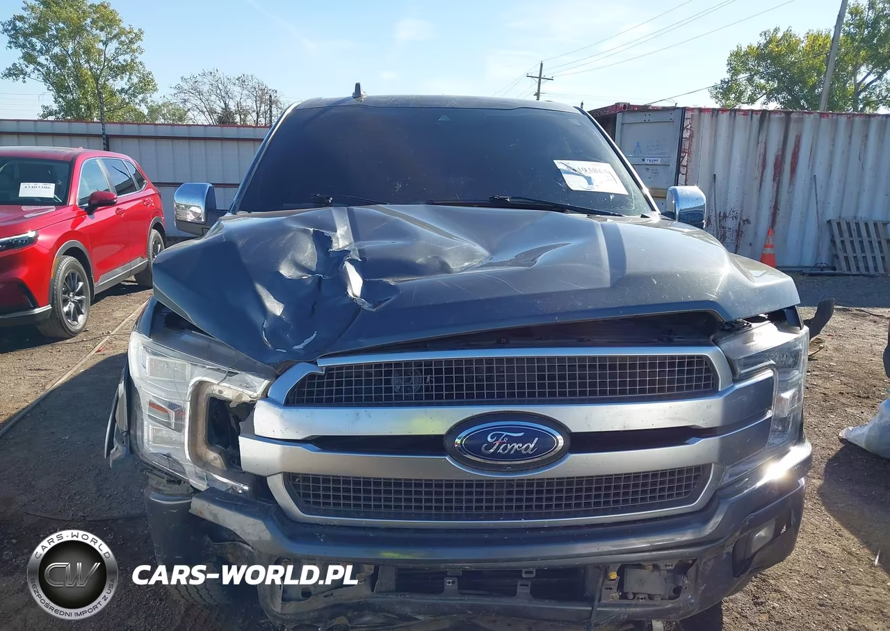 2019 Ford F-150 Platinum VIN:1FTFW1E11KFA31421 - 13