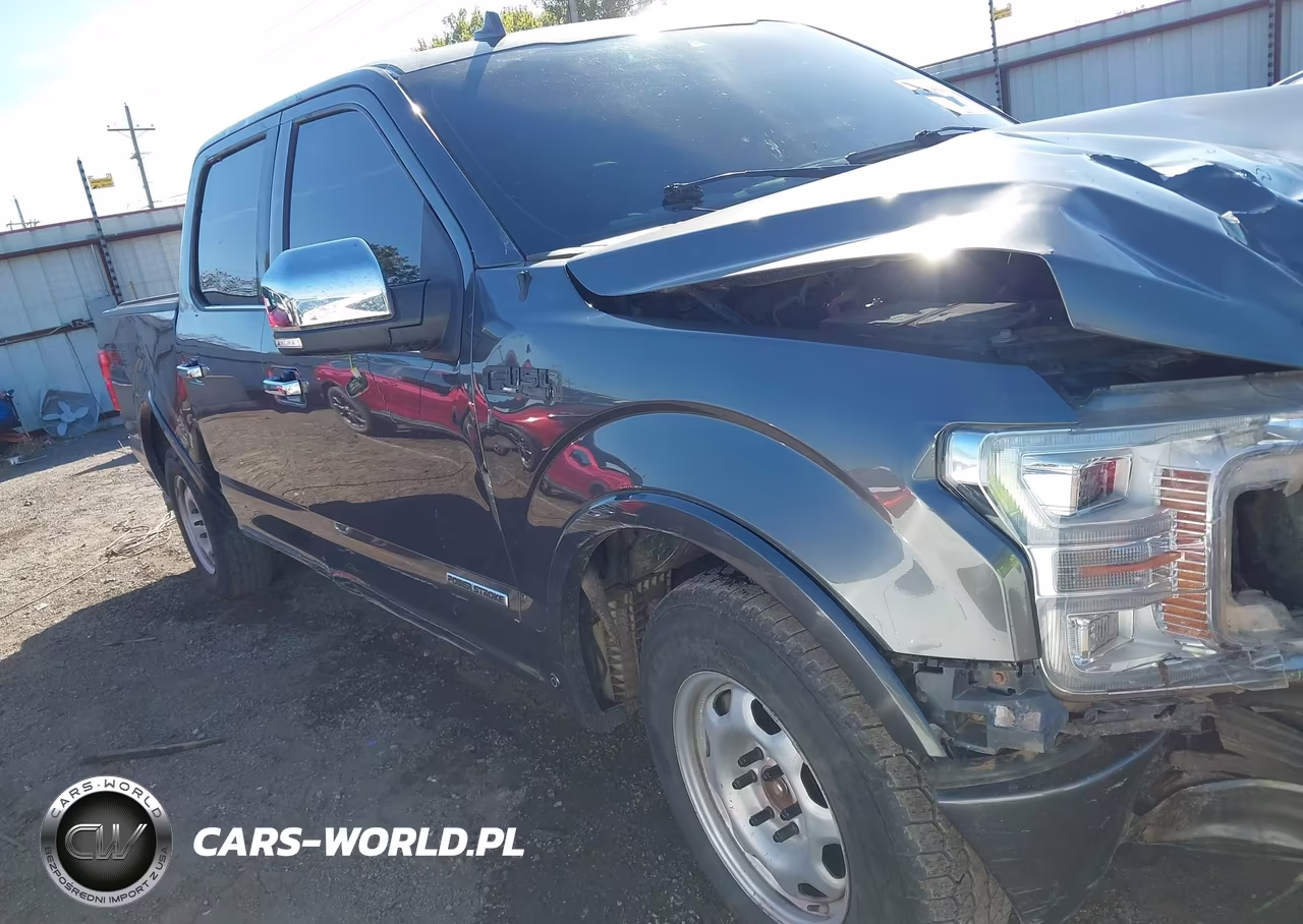 2019 Ford F-150 Platinum VIN:1FTFW1E11KFA31421 - 14