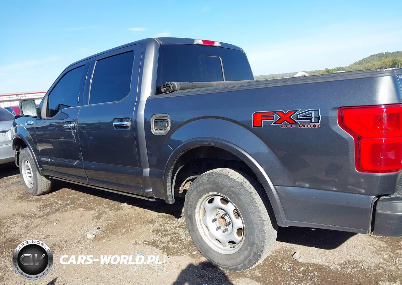 2019 Ford F-150 Platinum VIN:1FTFW1E11KFA31421 - 15
