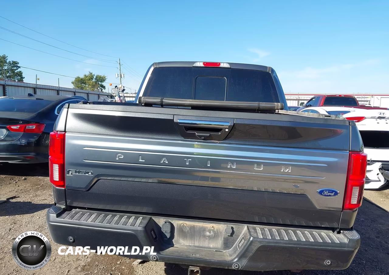 2019 Ford F-150 Platinum VIN:1FTFW1E11KFA31421 - 17