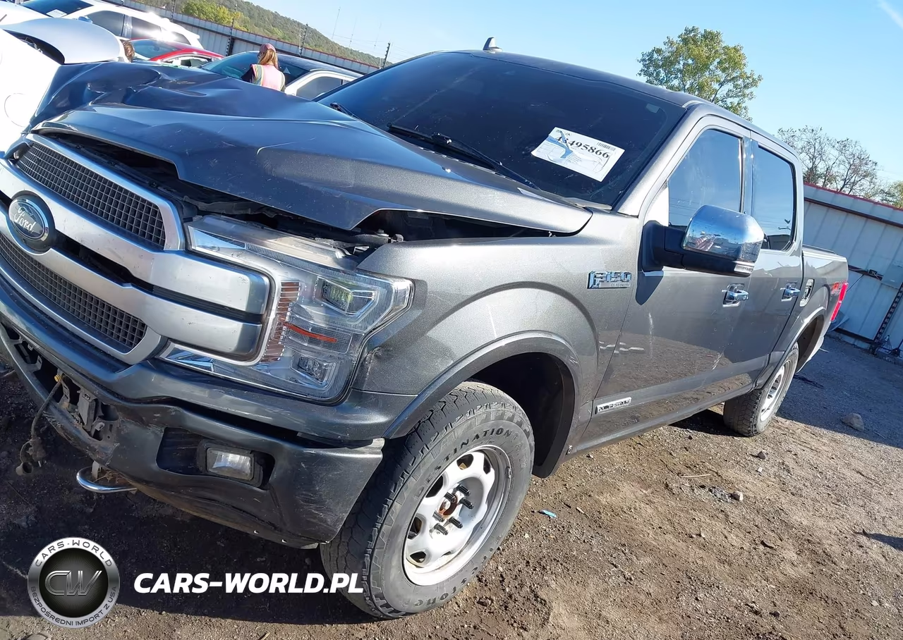 2019 Ford F-150 Platinum VIN:1FTFW1E11KFA31421 - 2