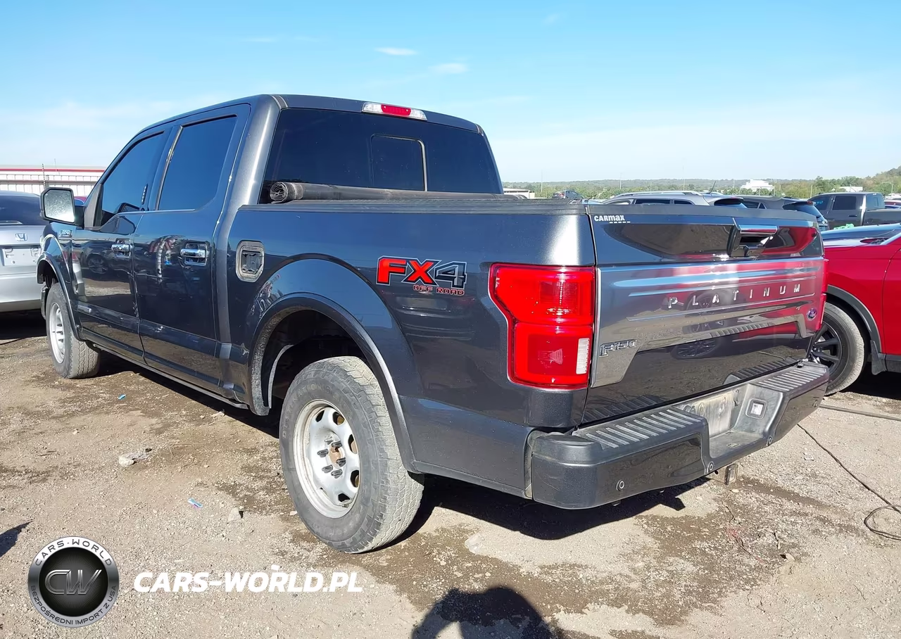 2019 Ford F-150 Platinum VIN:1FTFW1E11KFA31421 - 3