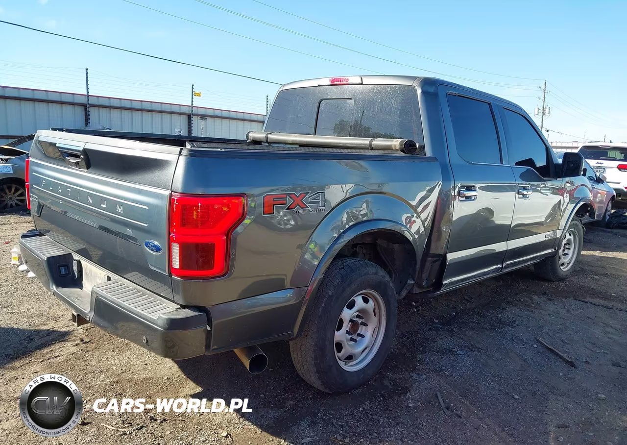 2019 Ford F-150 Platinum VIN:1FTFW1E11KFA31421 - 4