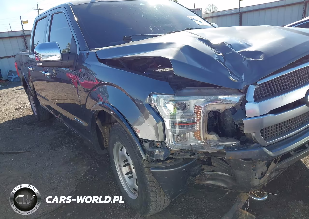 2019 Ford F-150 Platinum VIN:1FTFW1E11KFA31421 - 6