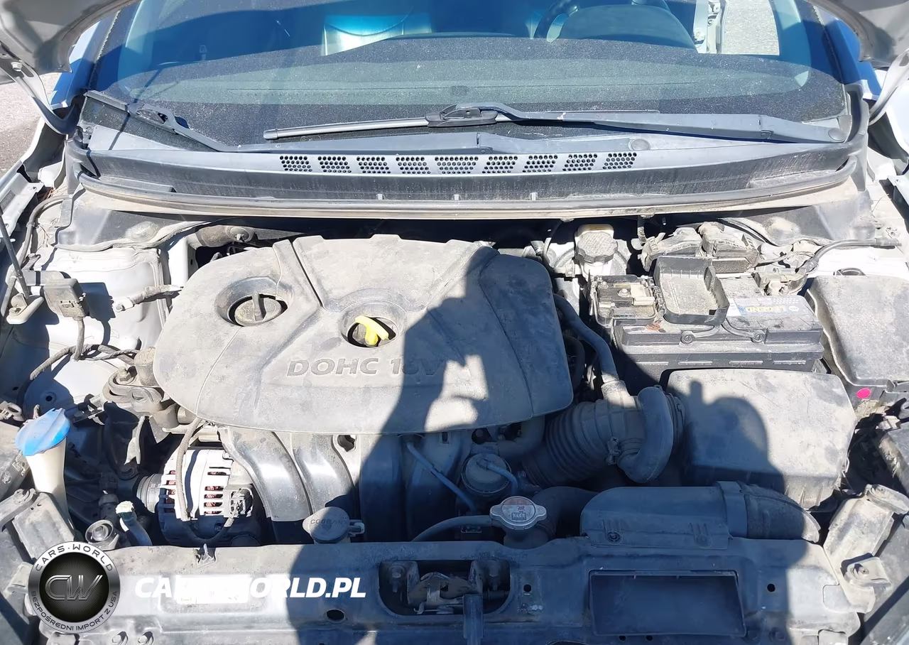 2014 Hyundai Elantra Limited VIN:5NPDH4AE6EH503117 - 10