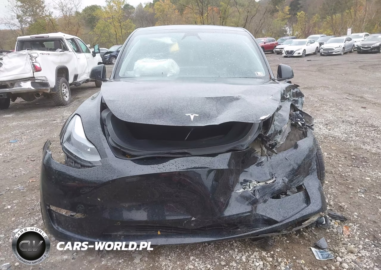 2023 Tesla Model Y Awd-Long Range Dual Motor All-Wheel Drive VIN:7SAYGDEE7PA168854 - 12