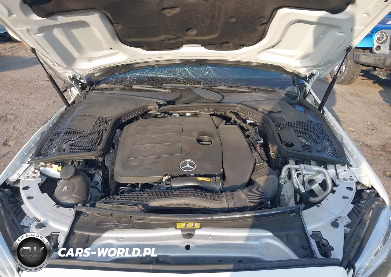 2019 Mercedes-Benz C 300 VIN:55SWF8DB5KU299278 - 10