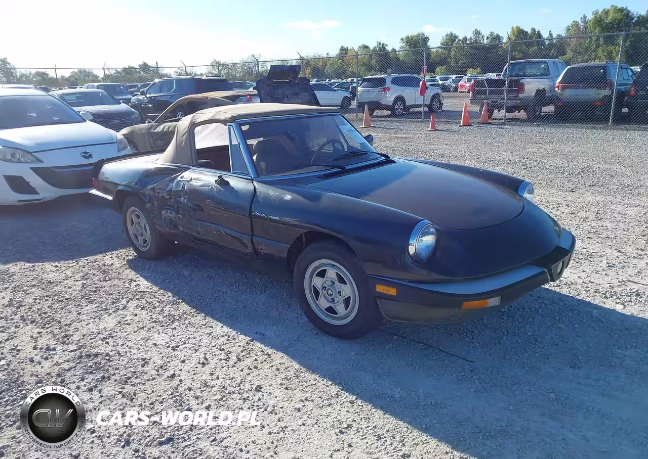 1984 Alfa Romeo Veloce 2000 Spider