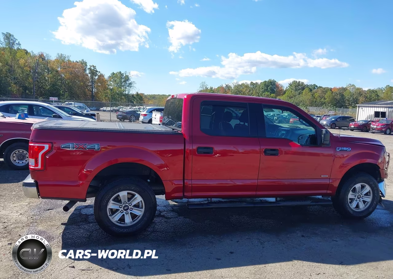 2017 Ford F-150 Xlt VIN:1FTEW1EP8HFC82512 - 13
