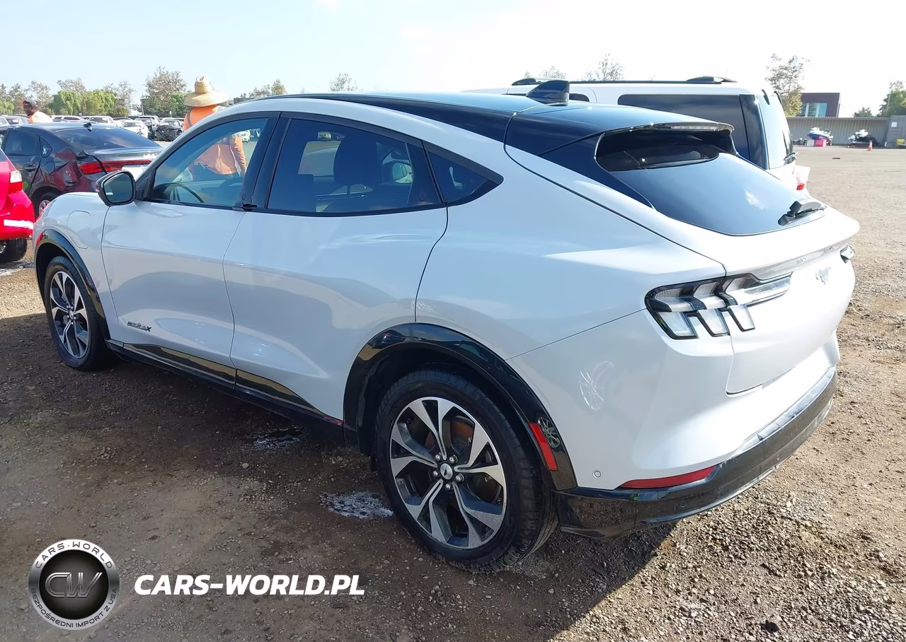 2023 Ford Mustang Mach-E Premium VIN:3FMTK3SU7PMA90758 - 3