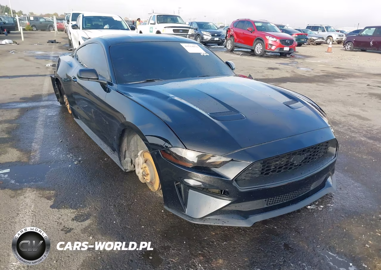 2019 Ford Mustang Ecoboost