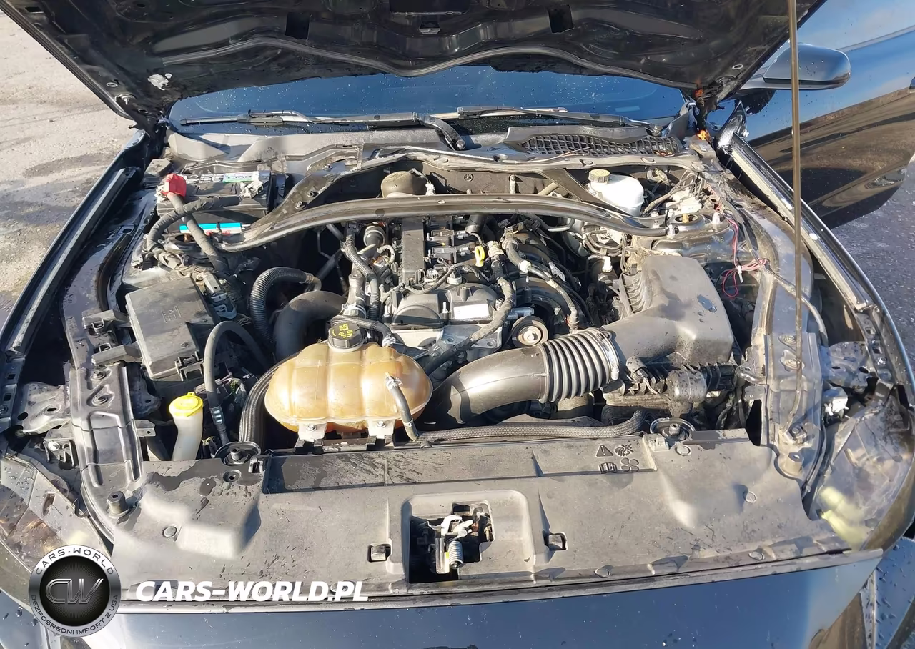2019 Ford Mustang Ecoboost VIN:1FA6P8TH4K5106274 - 10