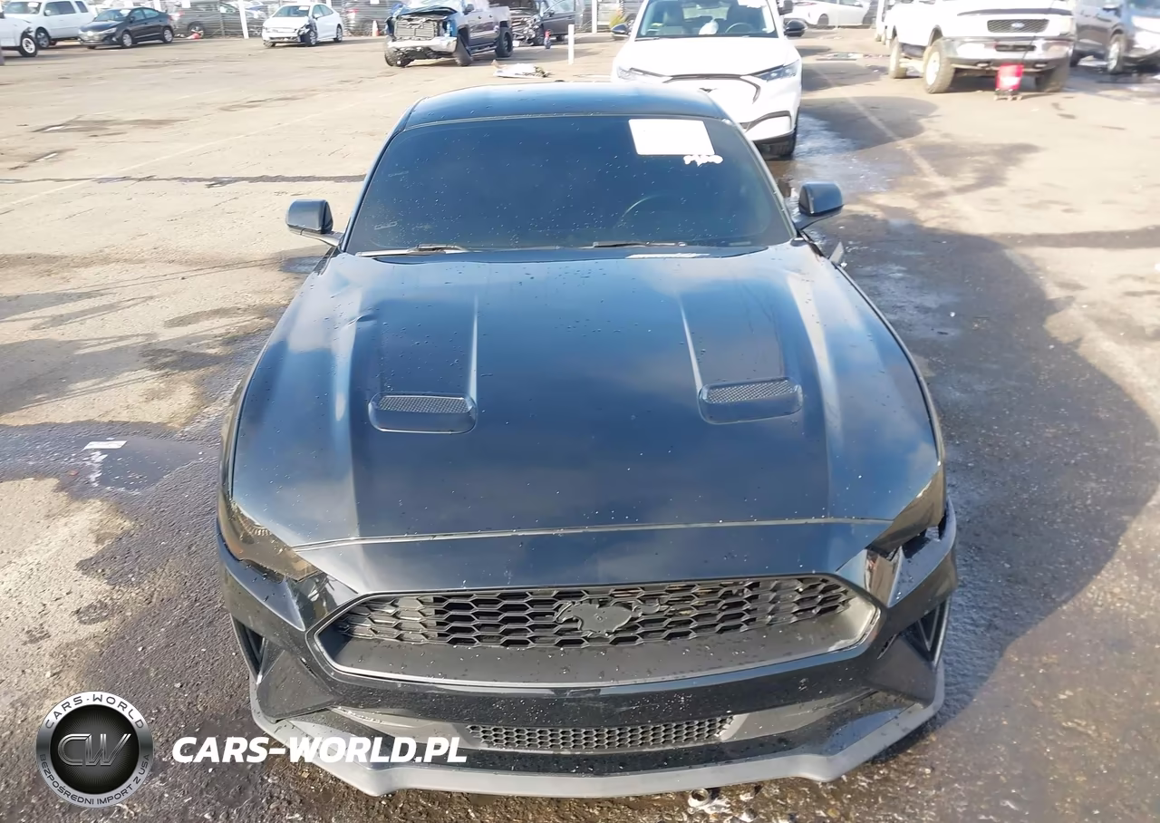 2019 Ford Mustang Ecoboost VIN:1FA6P8TH4K5106274 - 12