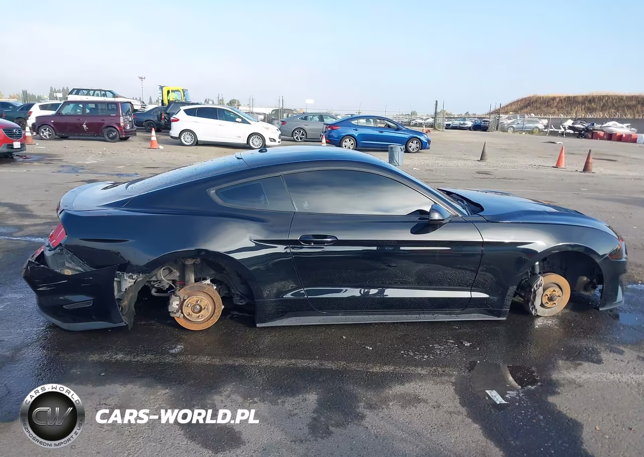 2019 Ford Mustang Ecoboost VIN:1FA6P8TH4K5106274 - 13