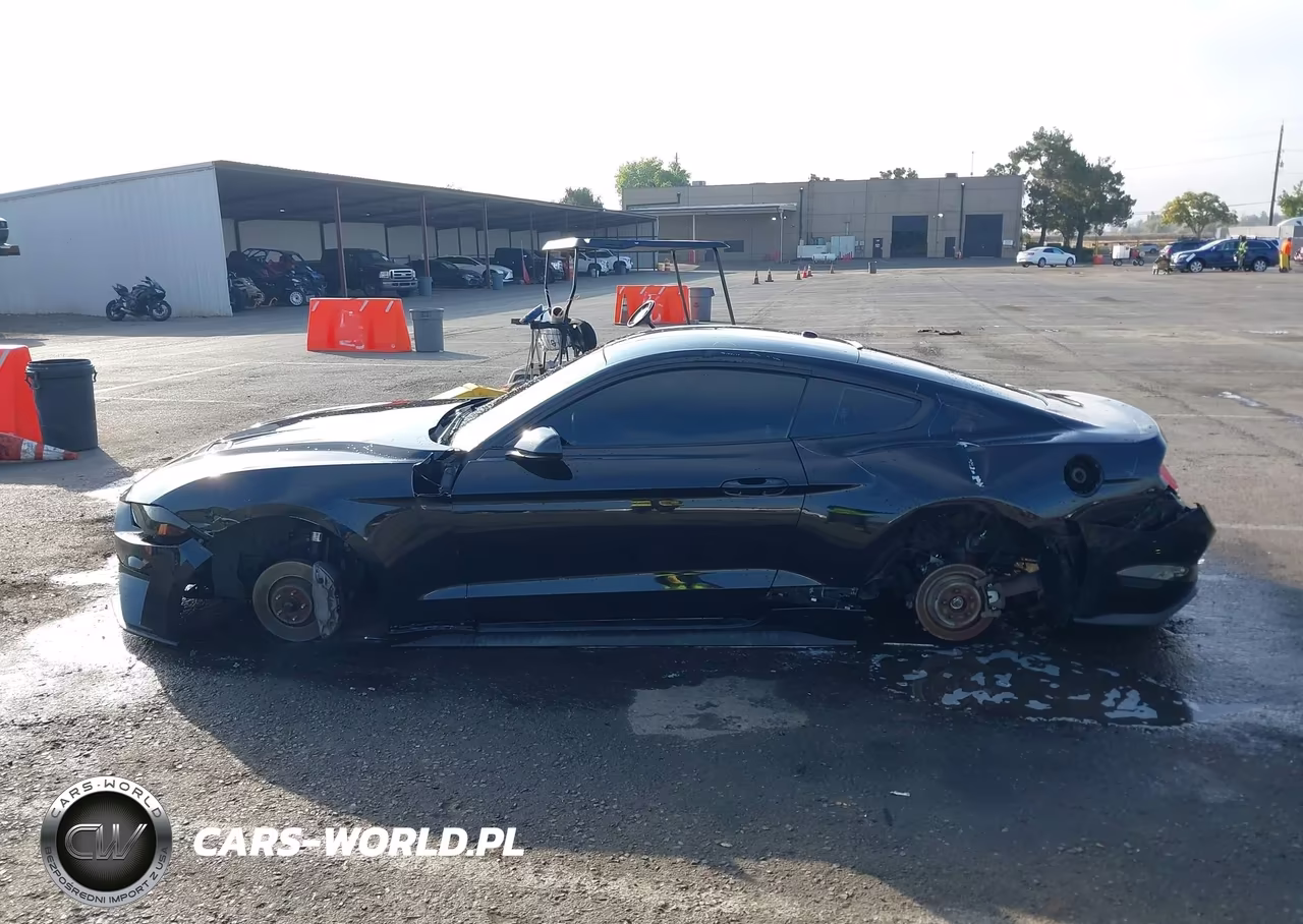 2019 Ford Mustang Ecoboost VIN:1FA6P8TH4K5106274 - 14