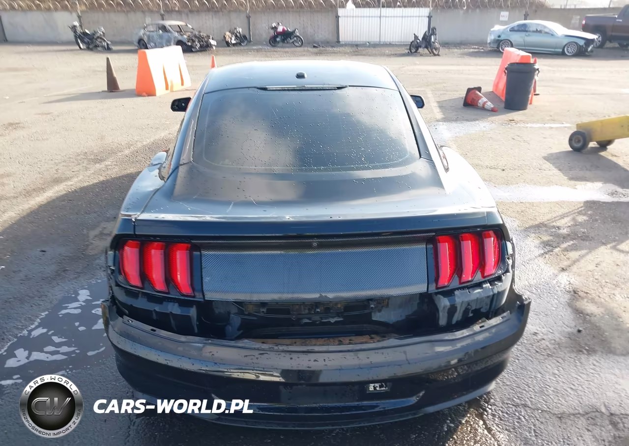 2019 Ford Mustang Ecoboost VIN:1FA6P8TH4K5106274 - 16
