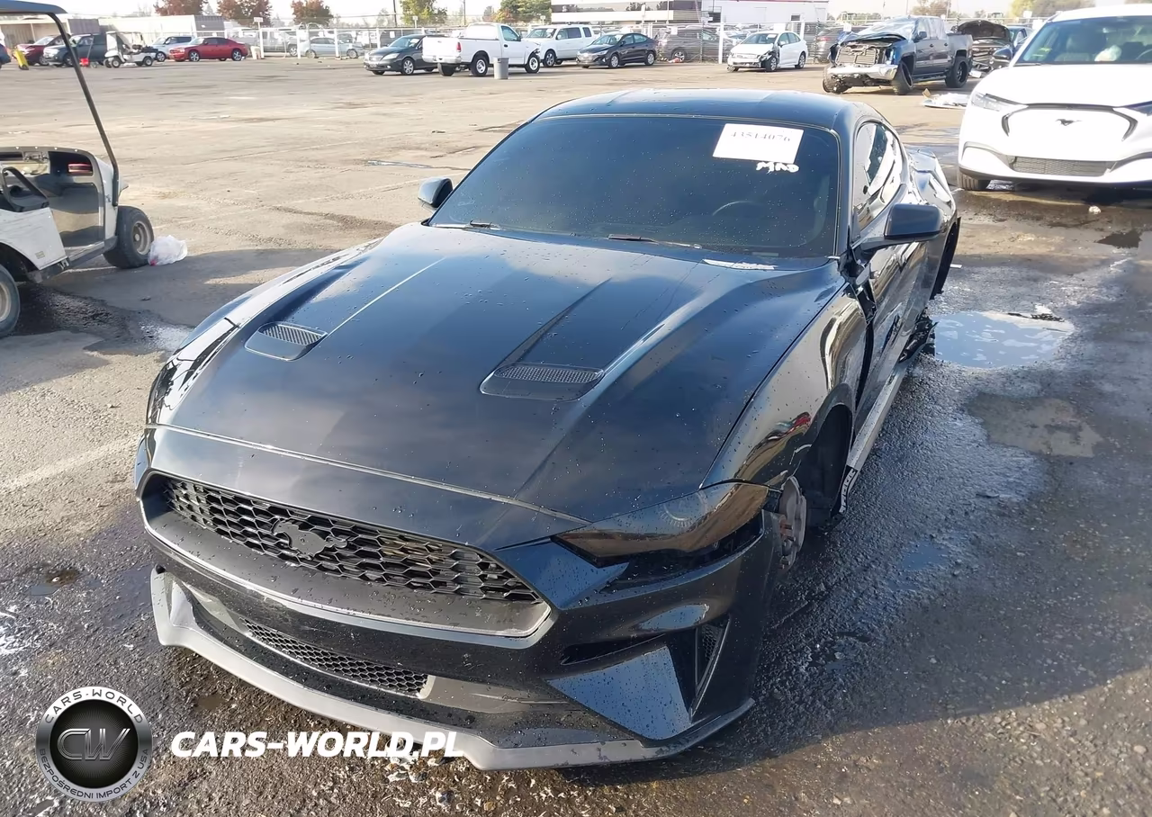 2019 Ford Mustang Ecoboost VIN:1FA6P8TH4K5106274 - 2