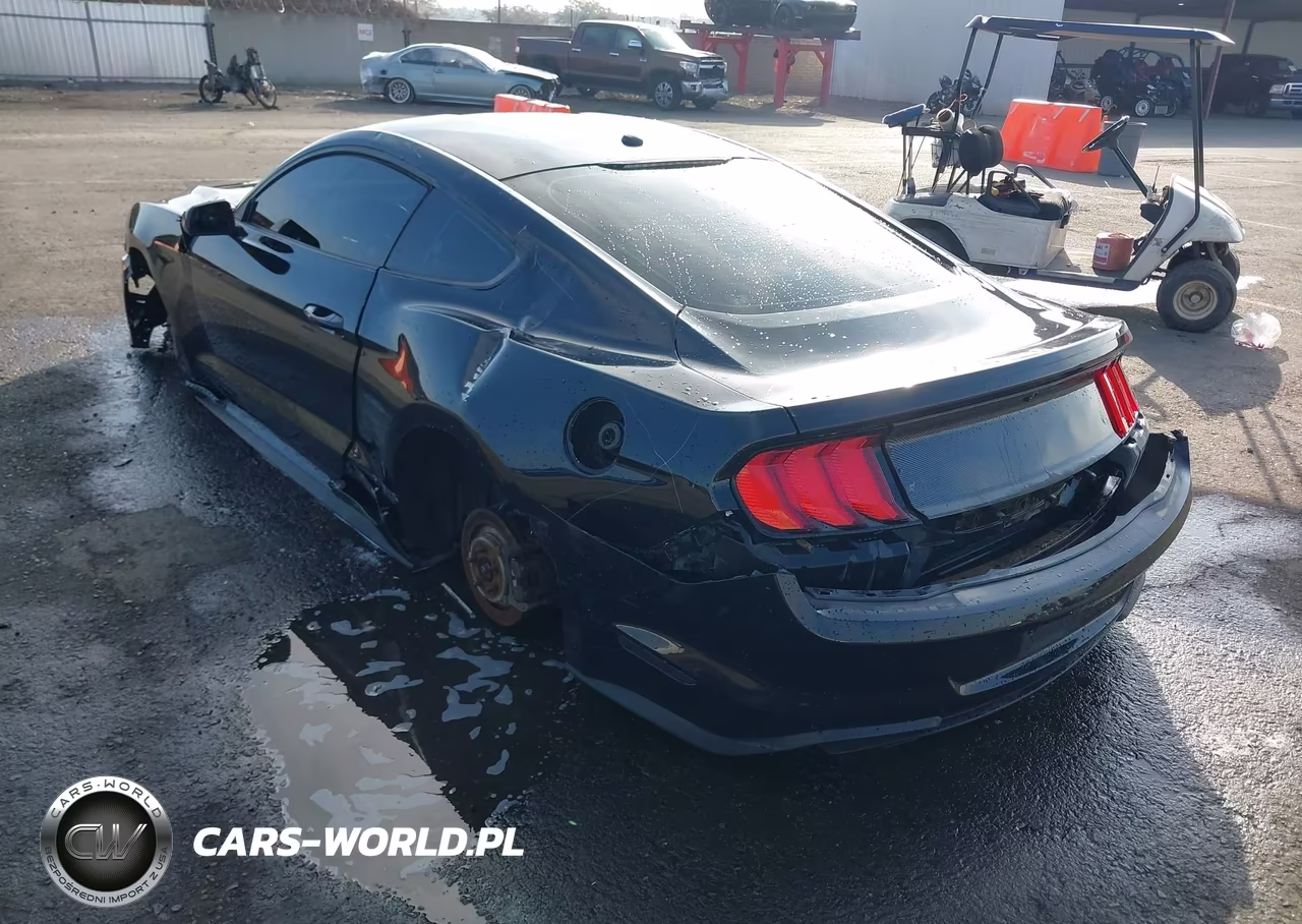 2019 Ford Mustang Ecoboost VIN:1FA6P8TH4K5106274 - 3