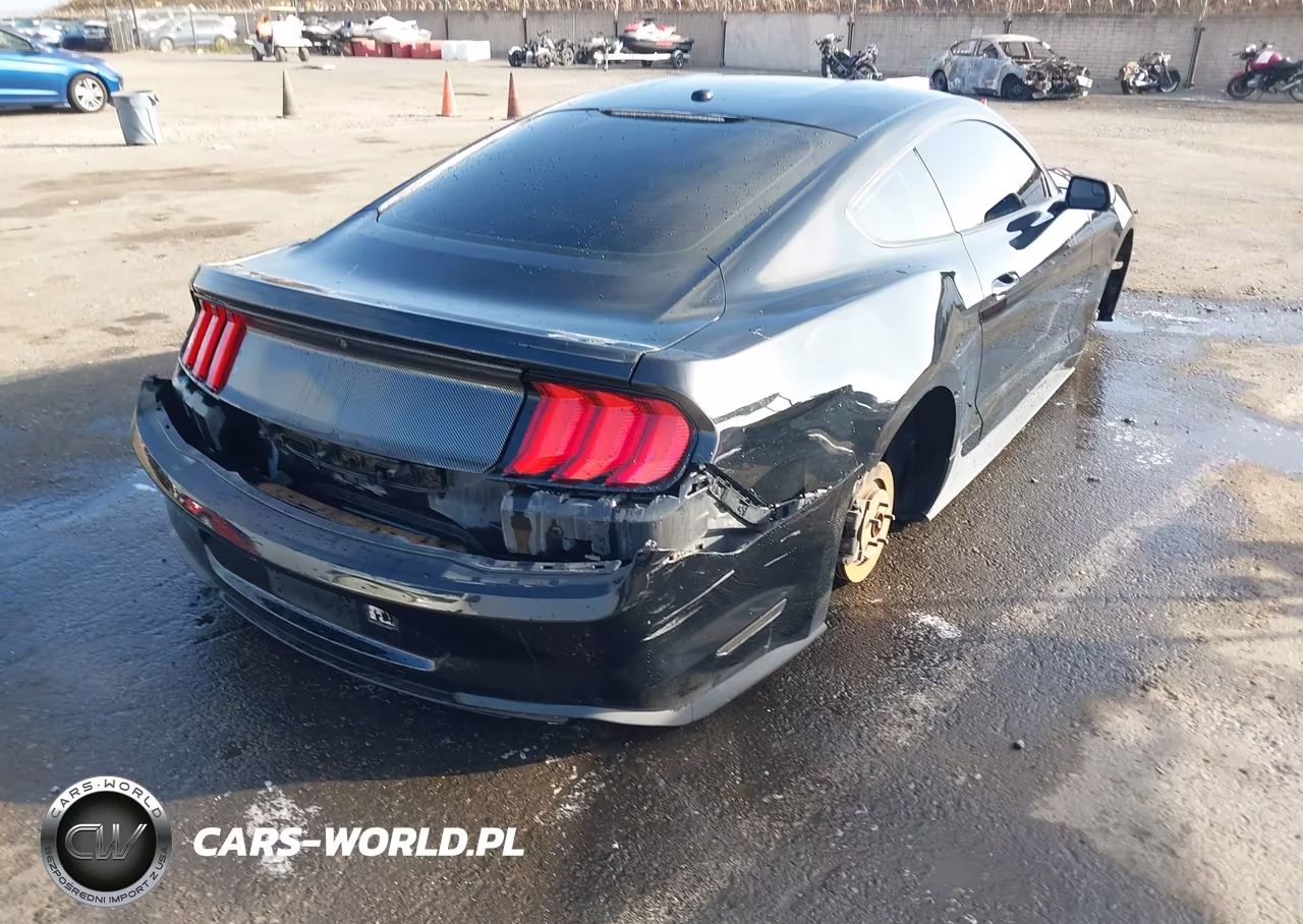 2019 Ford Mustang Ecoboost VIN:1FA6P8TH4K5106274 - 4