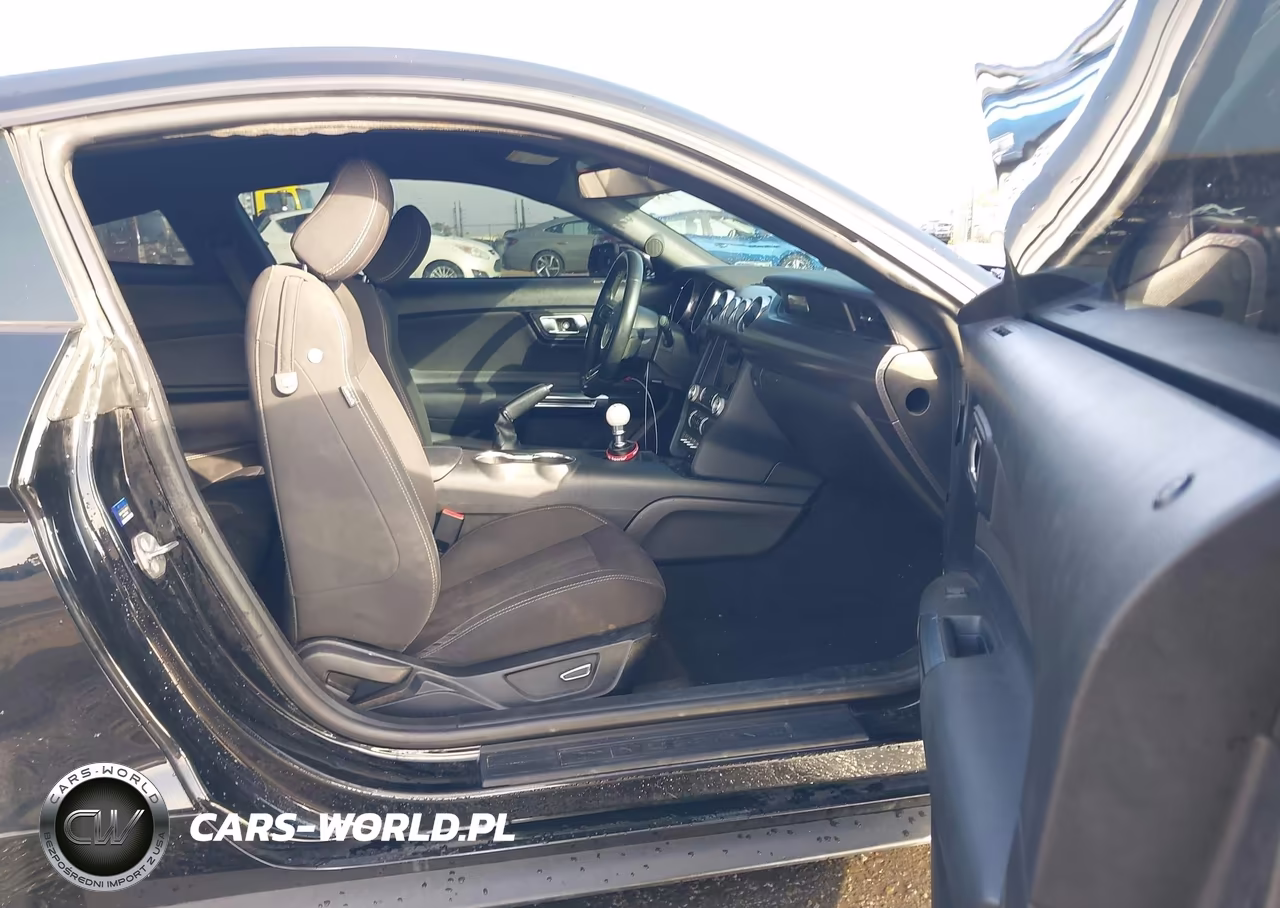 2019 Ford Mustang Ecoboost VIN:1FA6P8TH4K5106274 - 5