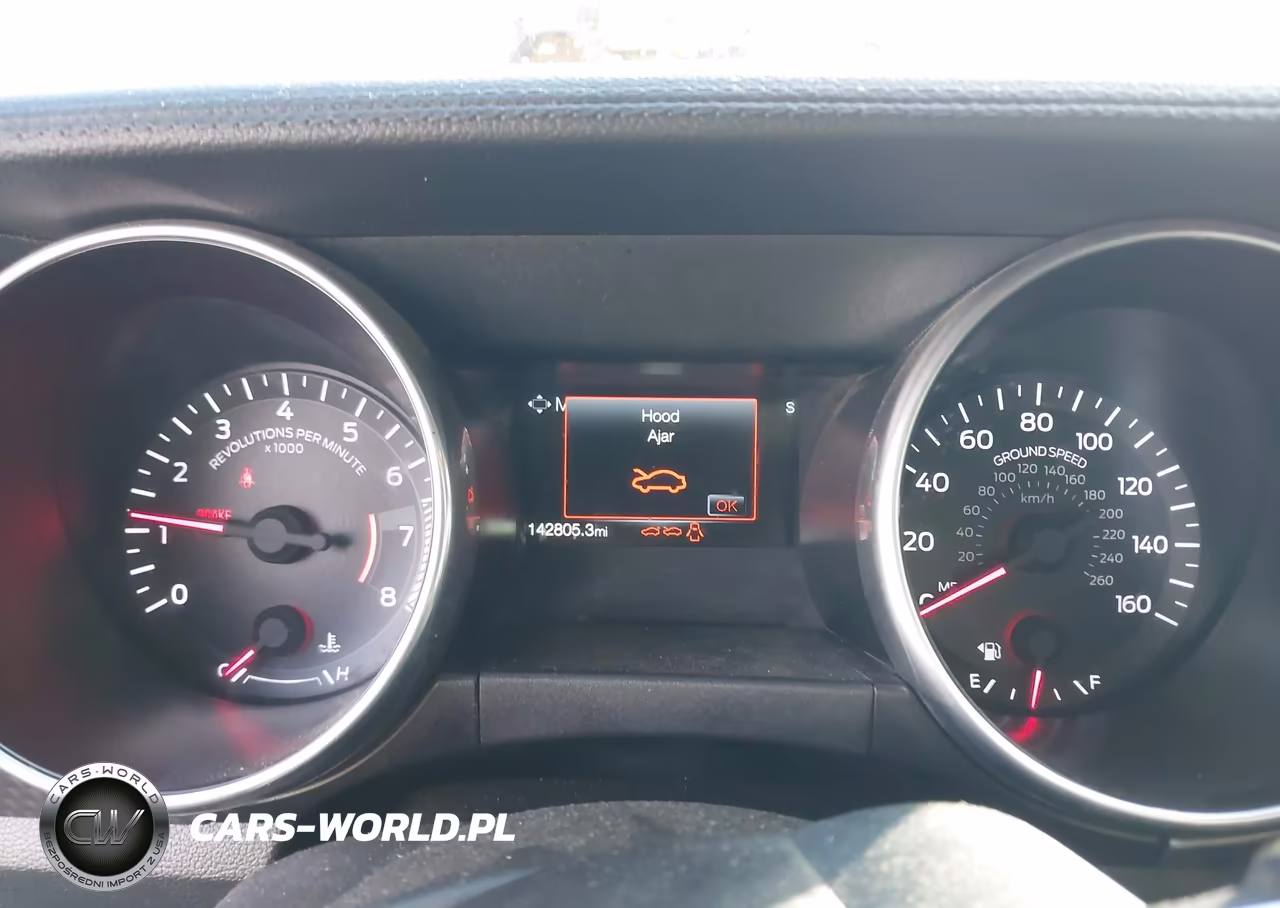 2019 Ford Mustang Ecoboost VIN:1FA6P8TH4K5106274 - 7