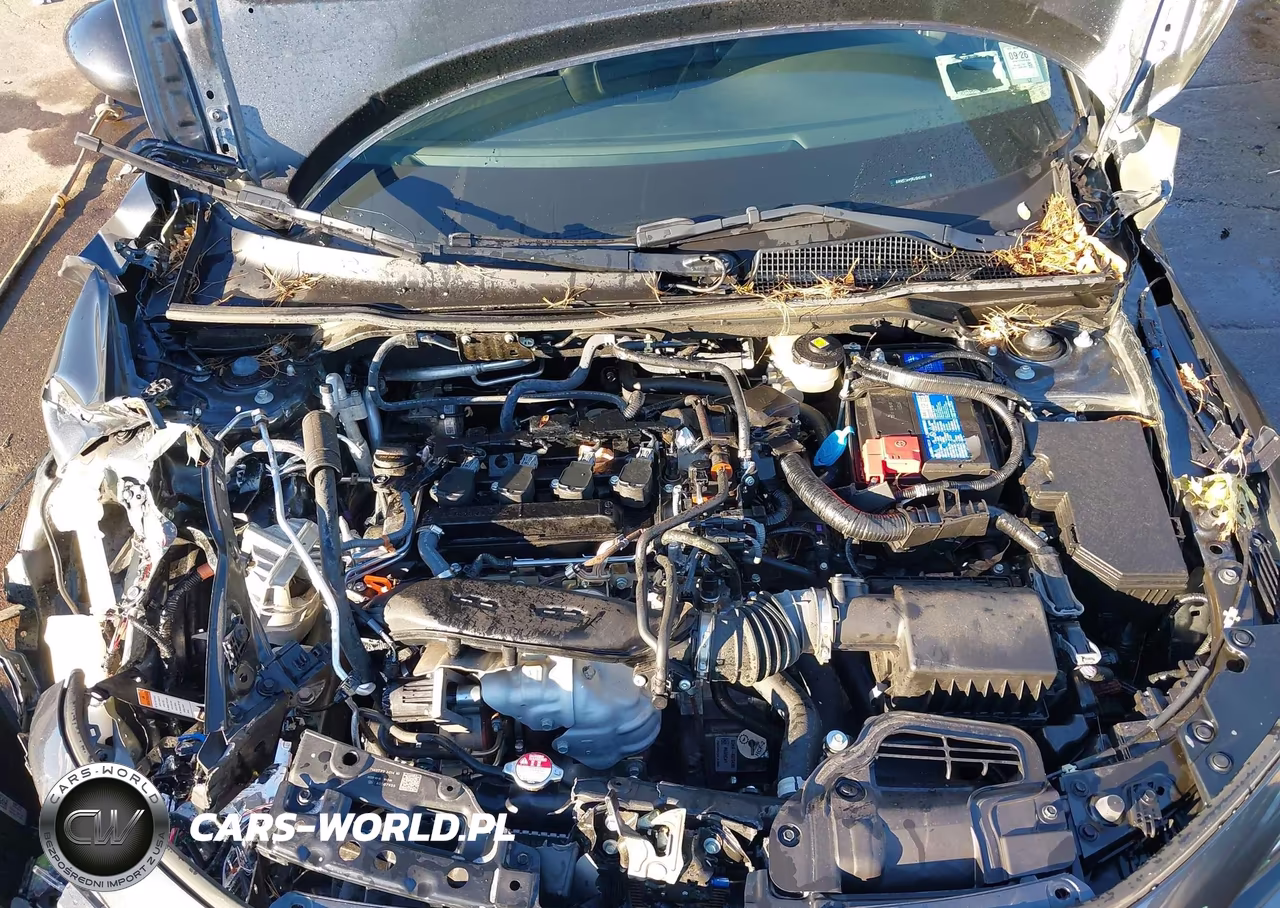 2024 Honda Civic Touring VIN:2HGFE1F91RH310188 - 10