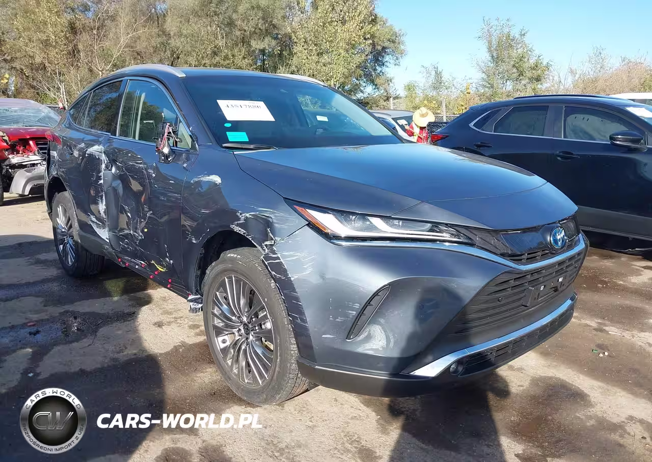 2024 Toyota Venza Xle