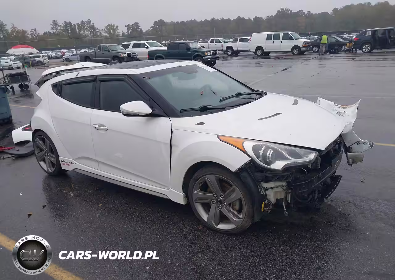 2013 Hyundai Veloster Turbo W-Black