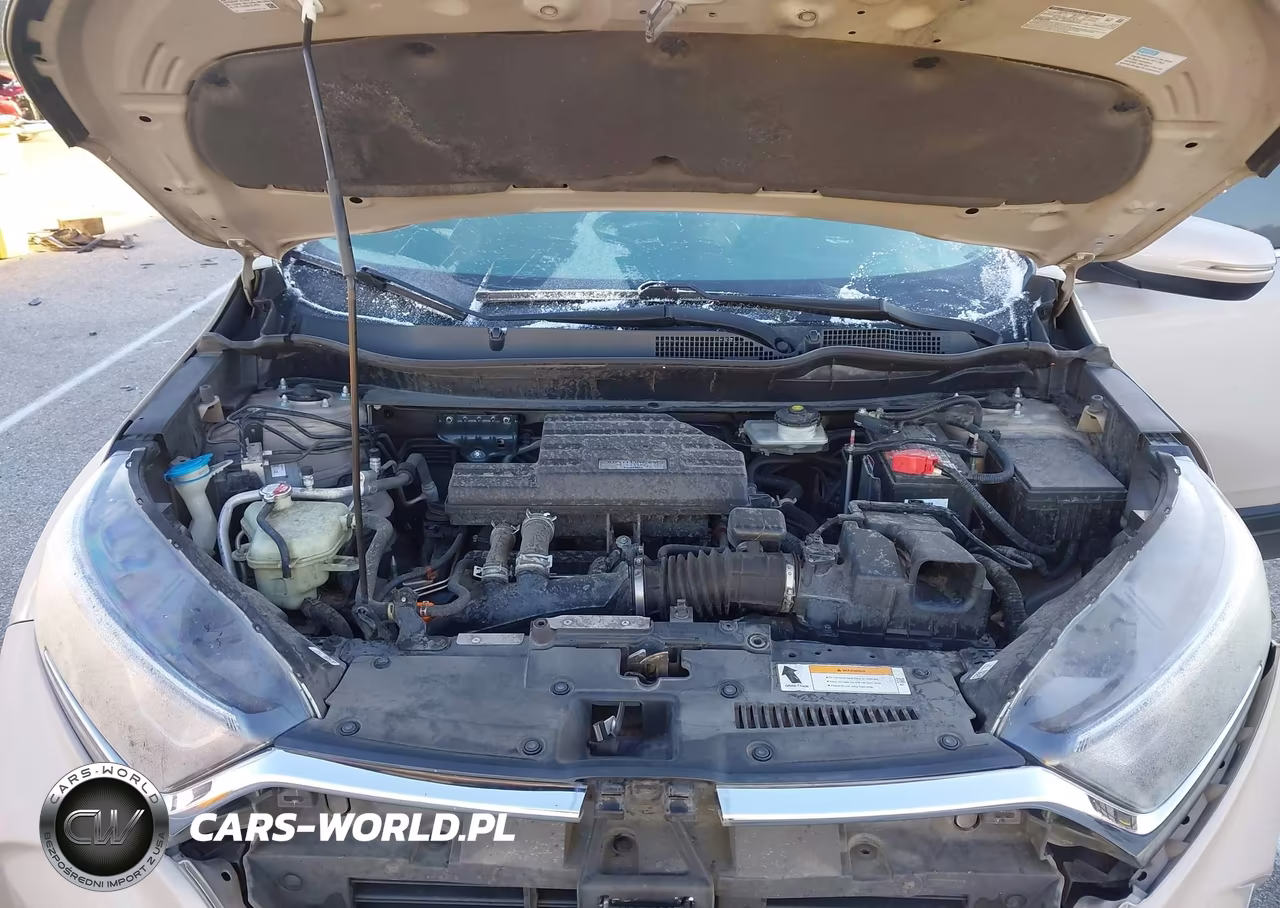 2019 Honda Cr-V Ex-L VIN:2HKRW1H83KH501654 - 10