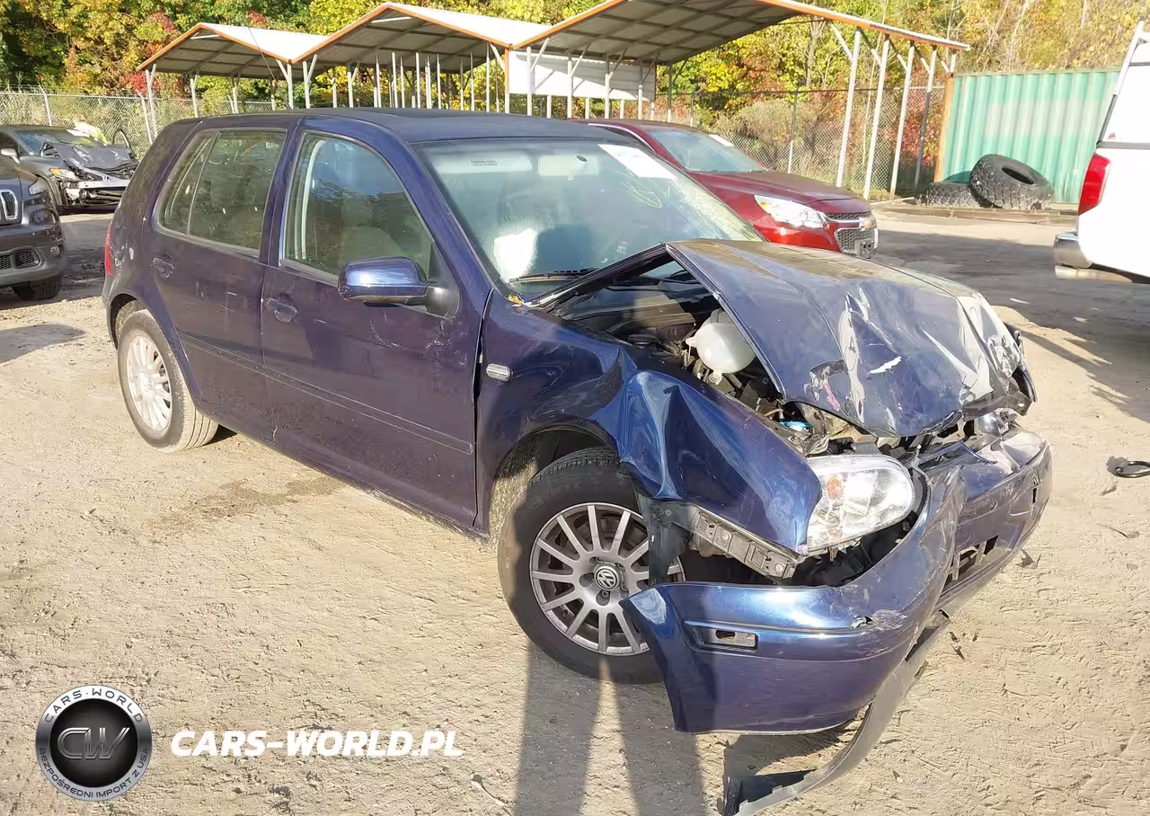 2004 Volkswagen Golf Gls 2.0L