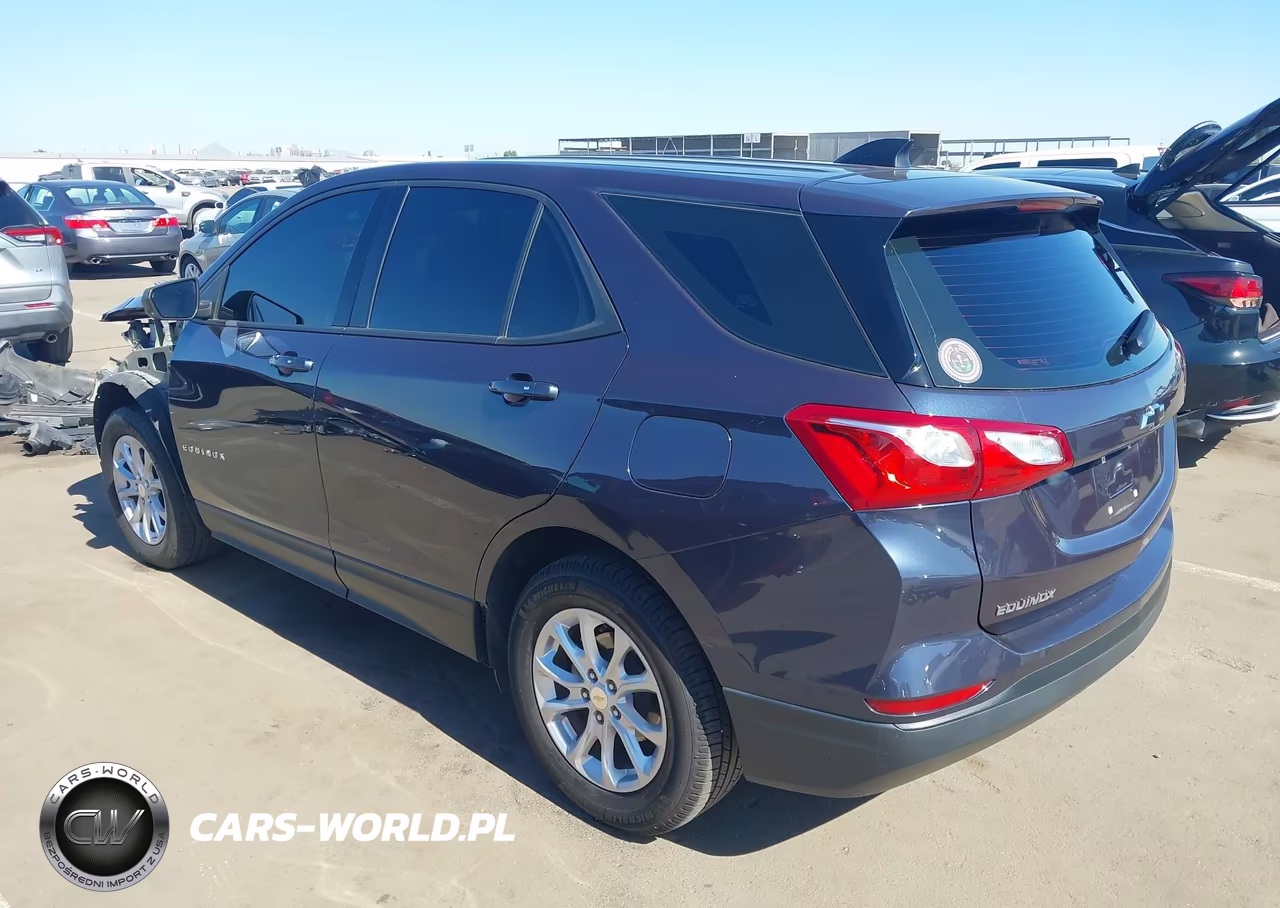 2019 Chevrolet Equinox Ls VIN:3GNAXHEV3KL287558 - 3
