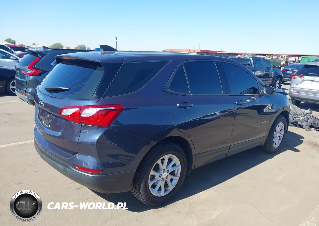 2019 Chevrolet Equinox Ls VIN:3GNAXHEV3KL287558 - 4