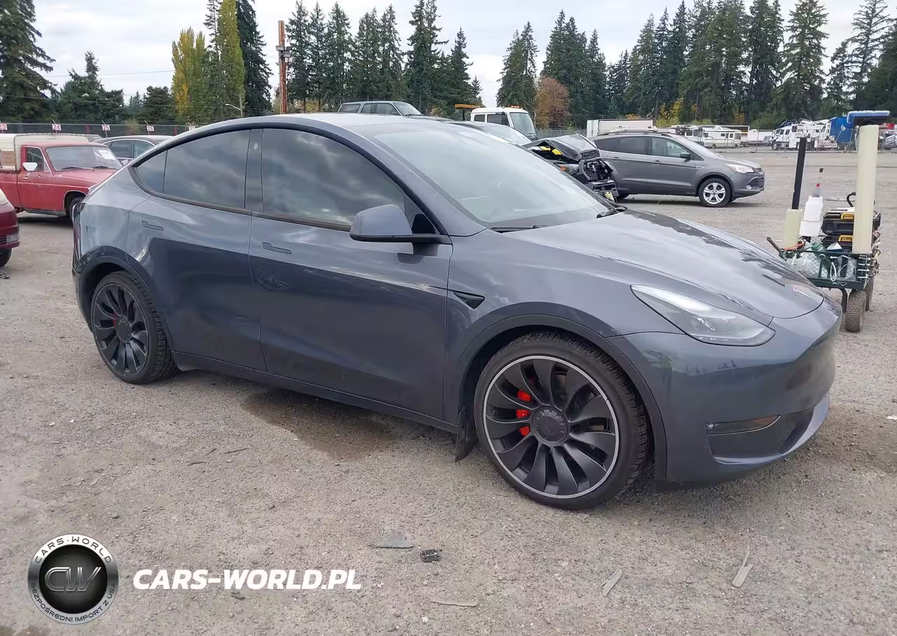 2023 Tesla Model Y Performance Dual Motor All-Wheel Drive