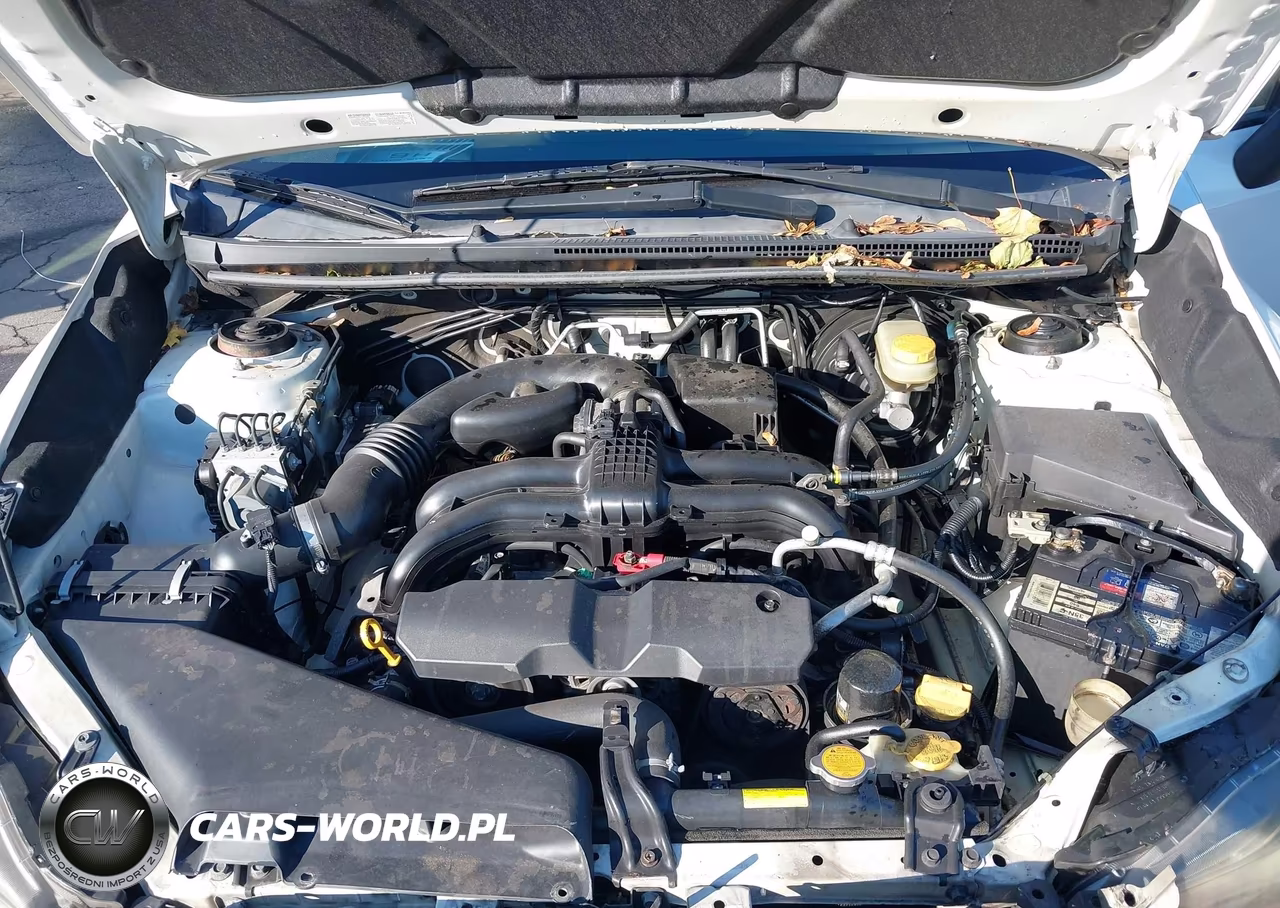 2013 Subaru Xv Crosstrek 2.0I Premium VIN:JF2GPACC2D2853310 - 10