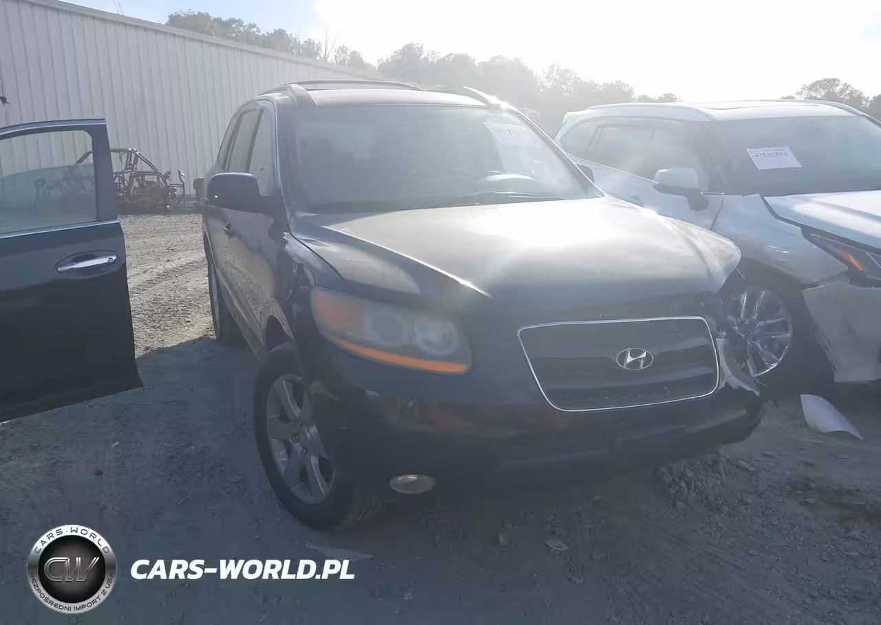 2009 Hyundai Santa Fe Se