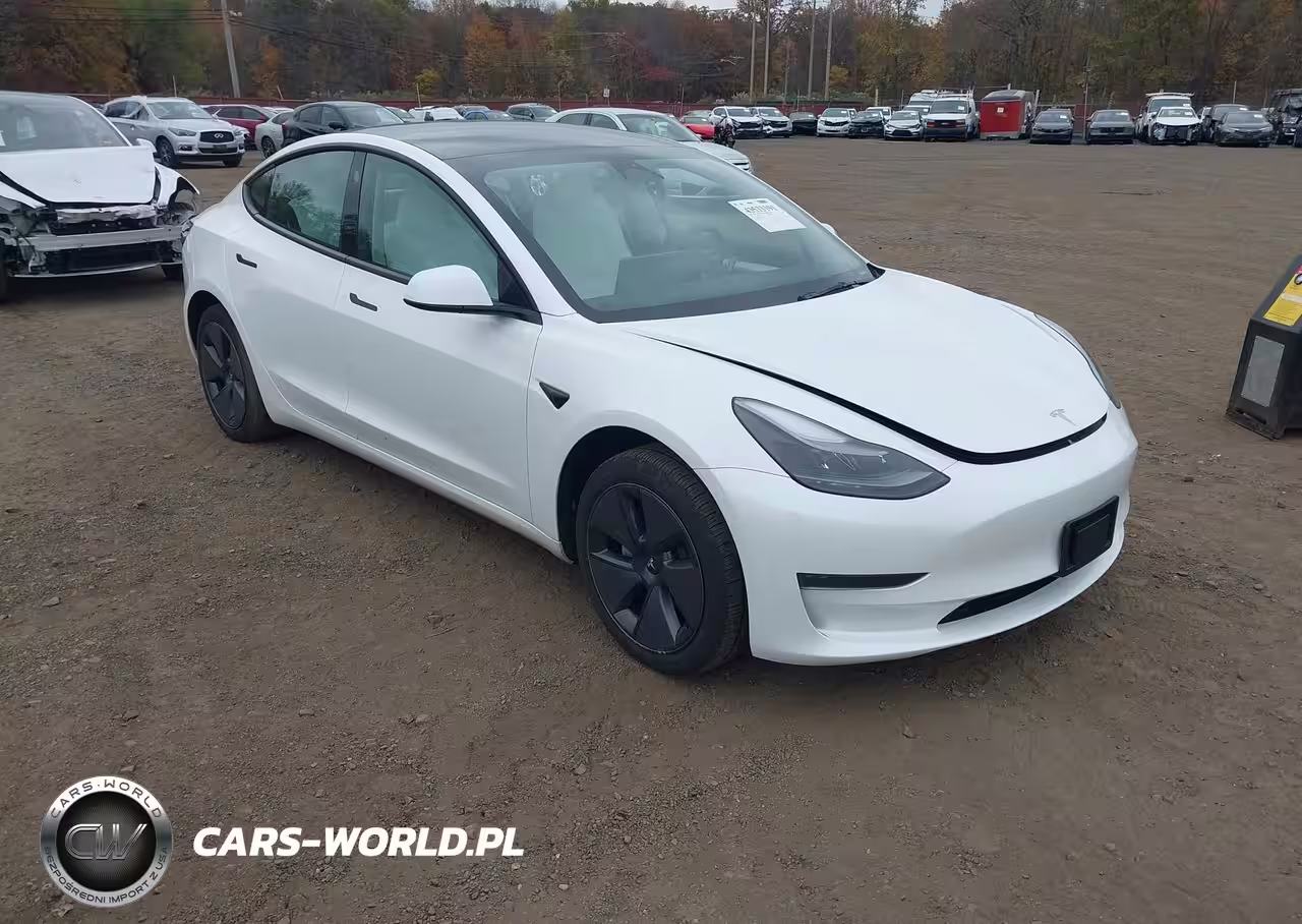 2023 Tesla Model 3 Rear-Wheel Drive
