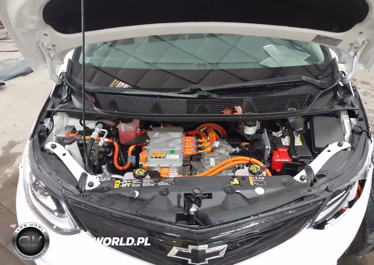 2020 Chevrolet Bolt Ev Fwd Premier VIN:1G1FZ6S09L4114388 - 10