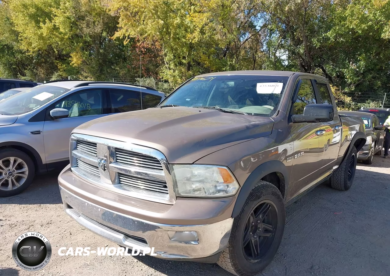 2010 Dodge Ram 1500 Slt-Sport-Trx VIN:1D7RV1GT7AS158720 - 2