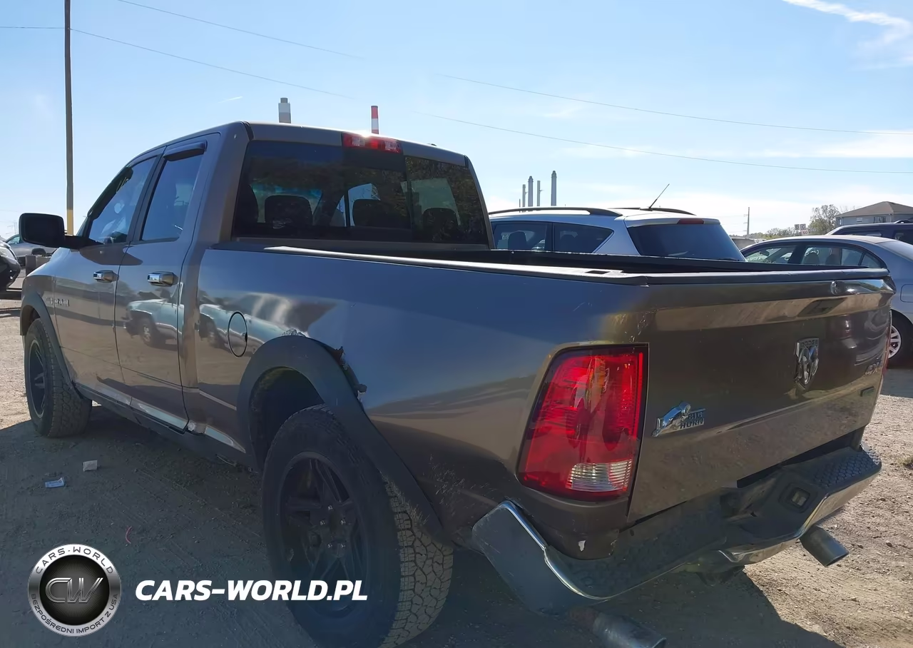 2010 Dodge Ram 1500 Slt-Sport-Trx VIN:1D7RV1GT7AS158720 - 3