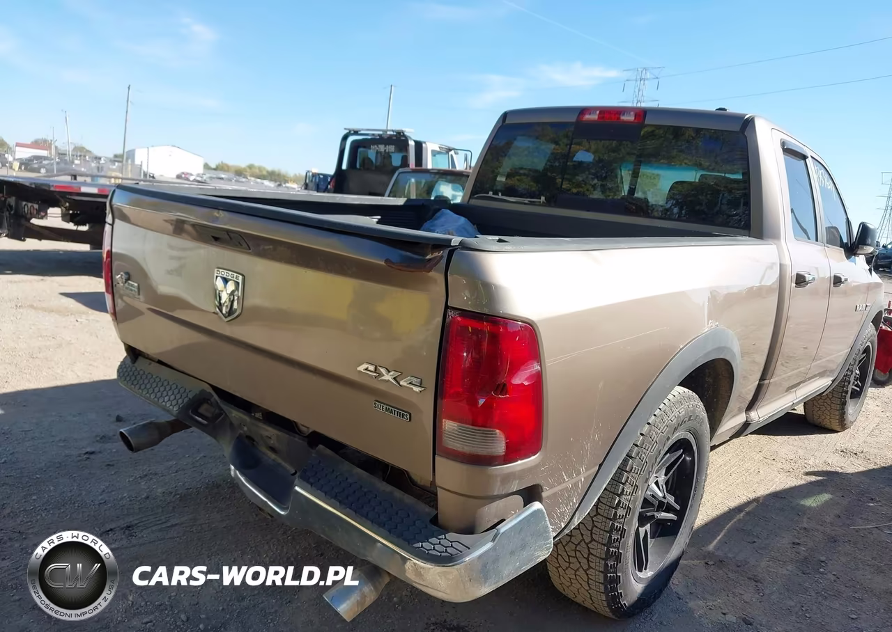 2010 Dodge Ram 1500 Slt-Sport-Trx VIN:1D7RV1GT7AS158720 - 4