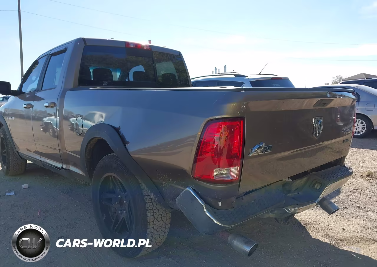 2010 Dodge Ram 1500 Slt-Sport-Trx VIN:1D7RV1GT7AS158720 - 6