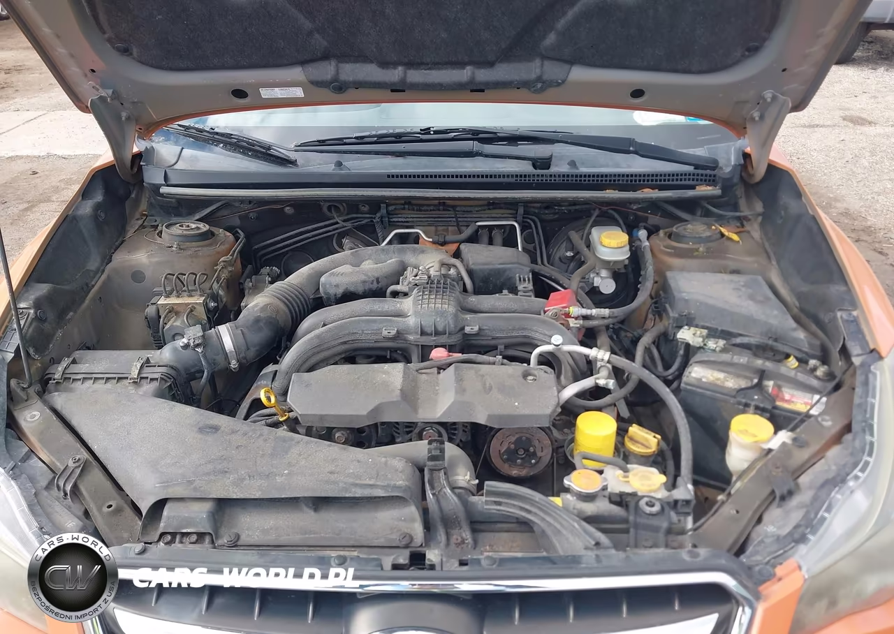 2013 Subaru Xv Crosstrek 2.0I Premium VIN:JF2GPACC8D2845390 - 10